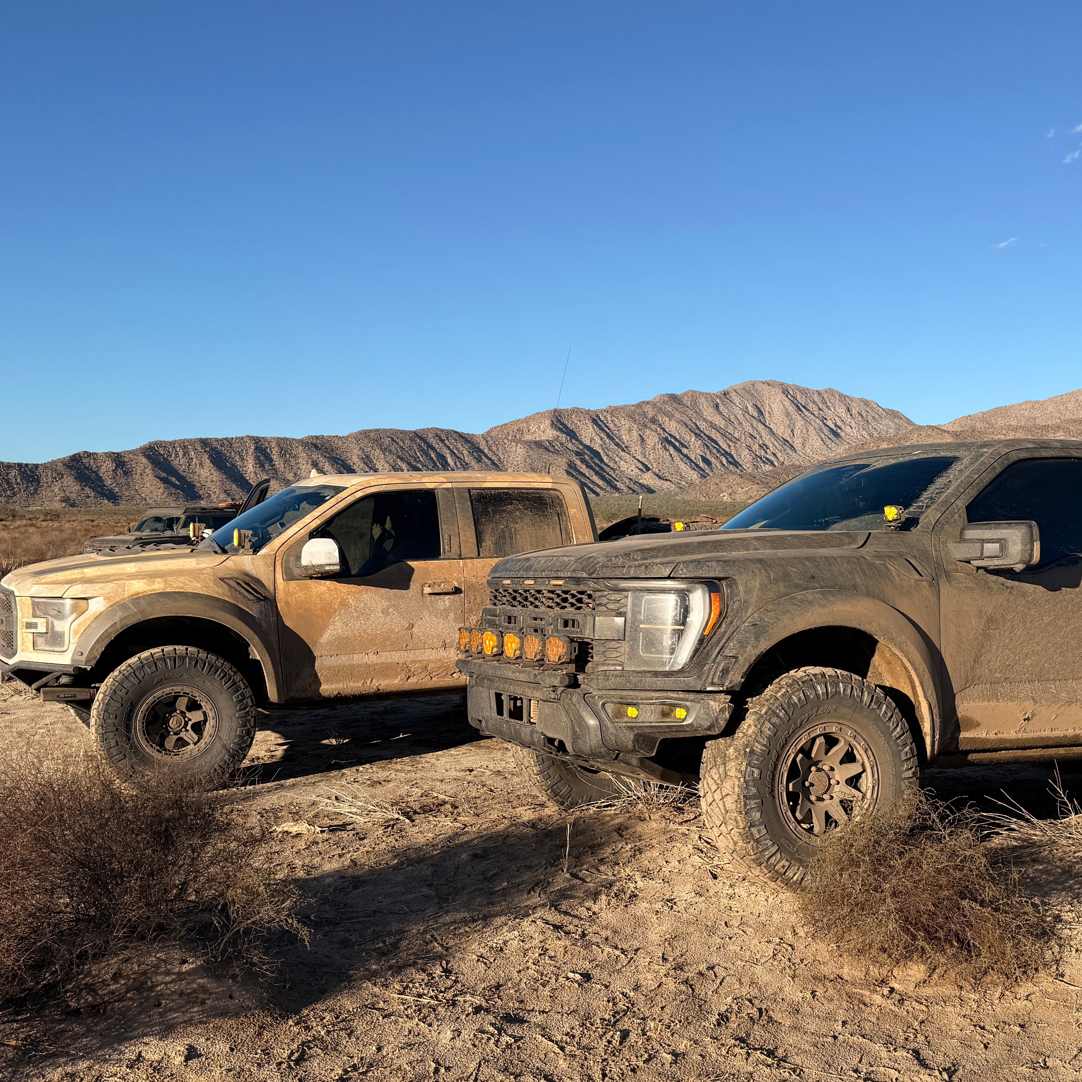 Gen 2/3 Raptor